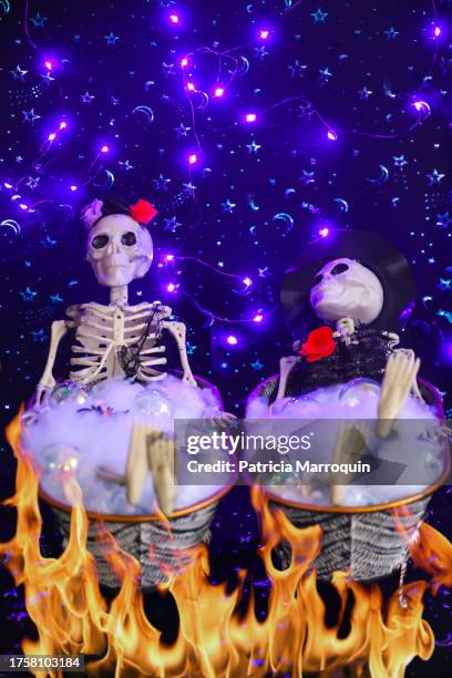 catrina and catrin skeletons in a bathtub - the catrina and the catrin imagens e fotografias de stock