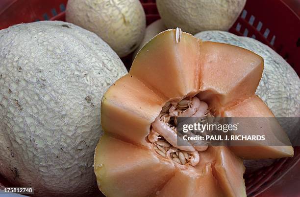 Cut cantaloupe is seen for sale at a local Farmers Market in Annandale, Virginia, August 8, 2013. AFP Photo/Paul J. Richards