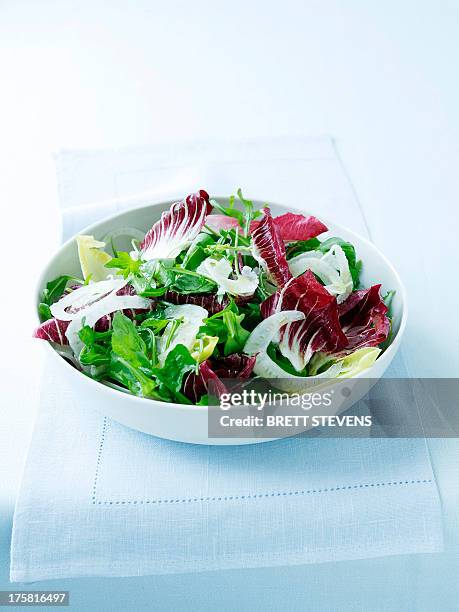 italian bitter leaf salad - salad bowl stock pictures, royalty-free photos & images