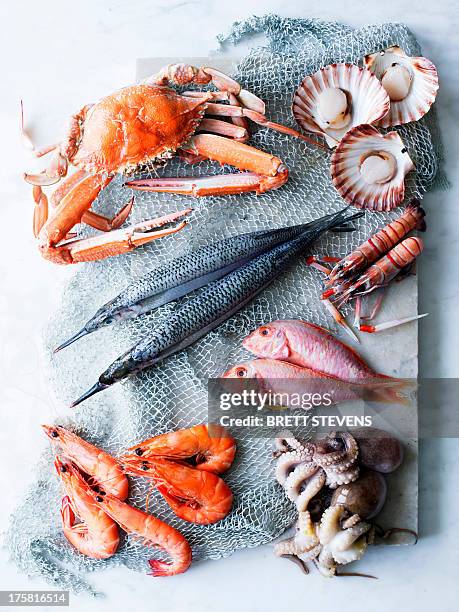 selection of fresh seafood - raw fish stockfoto's en -beelden