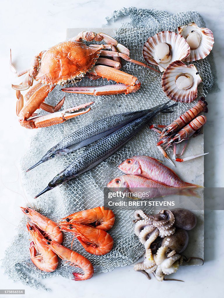 Selection of fresh seafood