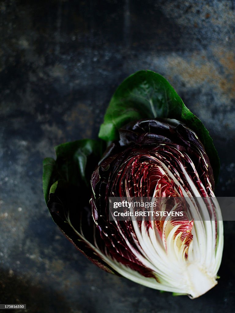 Radicchio, cross section