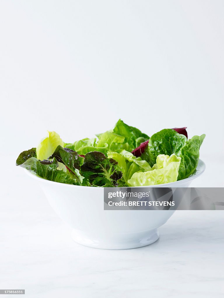 Mixed salad leaves in white bowl