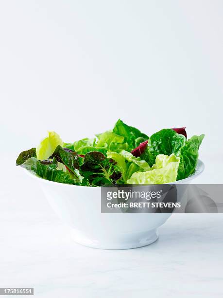 mixed salad leaves in white bowl - saladekom stockfoto's en -beelden
