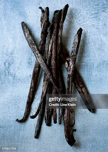 vanilla pods - vanille stock-fotos und bilder