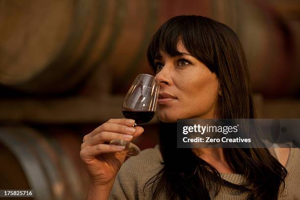 sampling wine in barrels - esperto foto e immagini stock