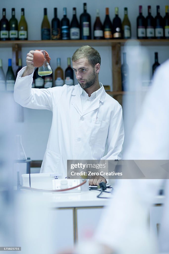 Oenologist checking laboratory tests