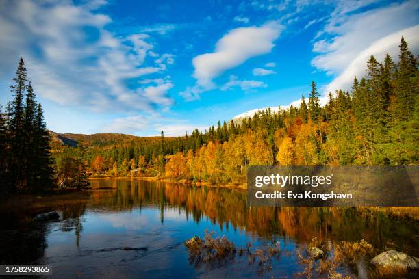 reflections in an autumn landscape with lake - october stock pictures, royalty-free photos & images