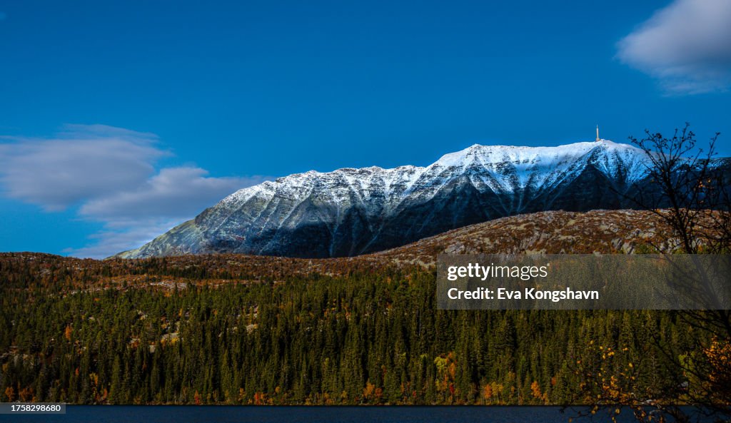Winter and Autumn in one photo