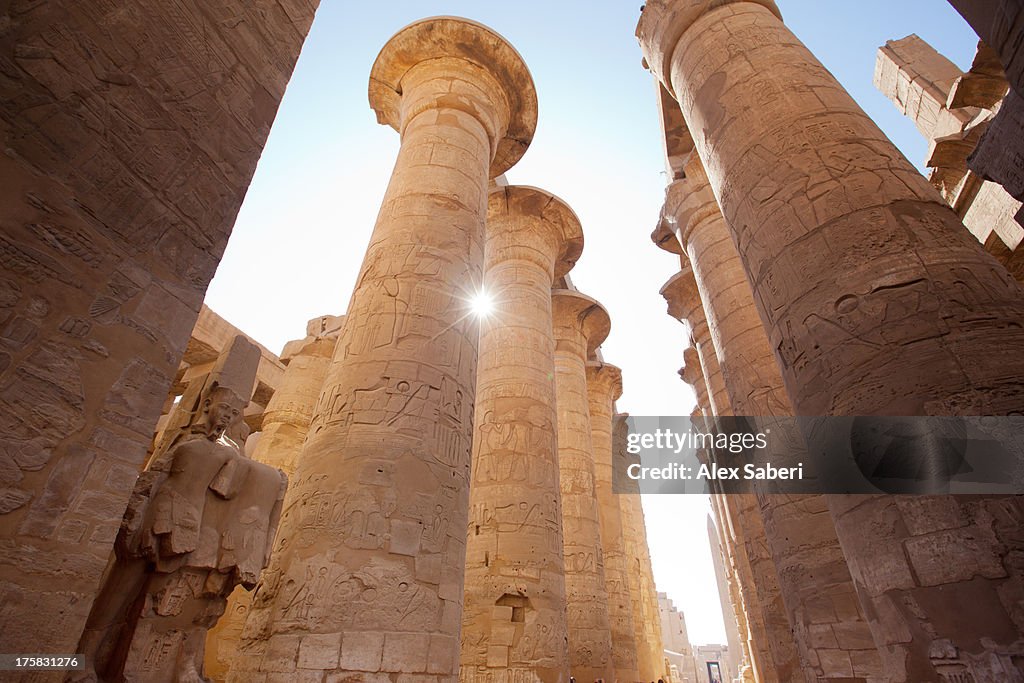 Sunlight sparkles through columns in the Karnak temple hypostyle hall.