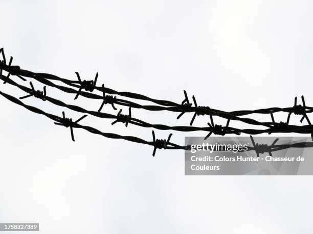 close-up of barbed wire against a background of white cloudy sky in london, england, united kingdom - forbidden symbol stock pictures, royalty-free photos & images