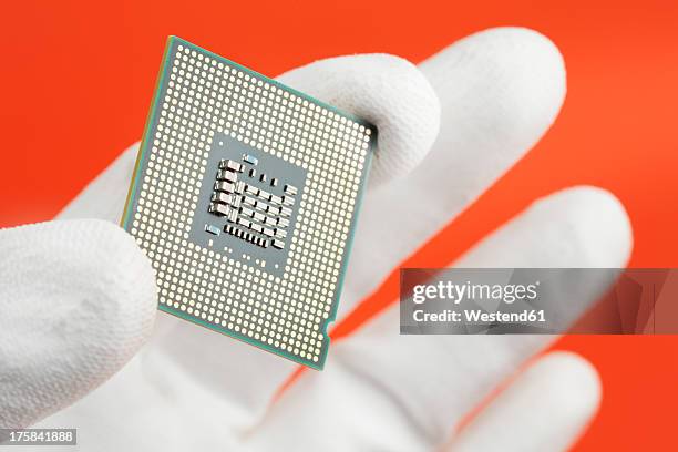 Chip Computer Hand Hand Holding Computer Chip Photos and Premium High Res Pictures - Getty ...