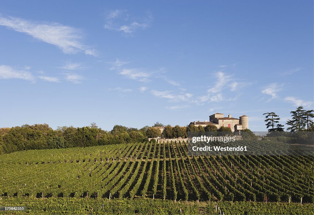 France, Bordeaux, Vineyards and Chateau Lacaussade