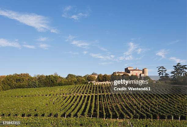 france, bordeaux, vineyards and chateau lacaussade - bordeaux stock pictures, royalty-free photos & images