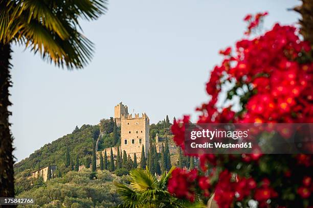 italy, view of castle - arco alto adige bildbanksfoton och bilder