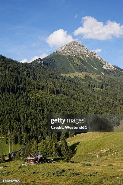 austria, upper austria, view of ochsenwaldalm alp and grober pyhrgas - spital am pyhrn stock pictures, royalty-free photos & images