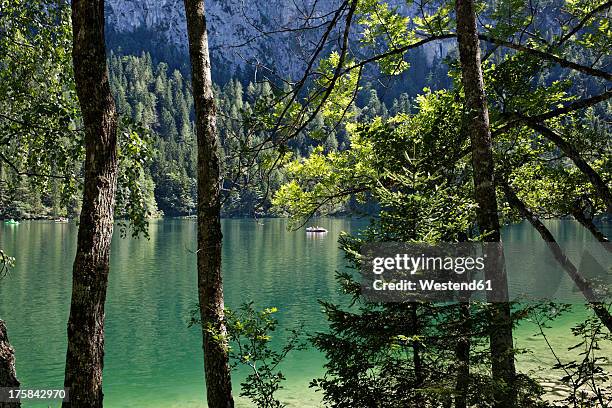austria, upper austria, view of gleinkersee lake - spital am pyhrn stock pictures, royalty-free photos & images
