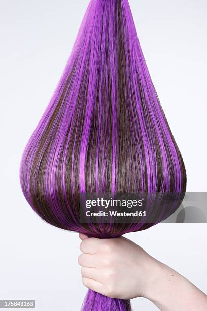 human hand holding brown hair with purple highlights against white background, close up - mèche colorée photos et images de collection