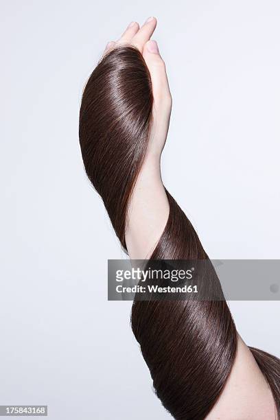 human hand holding brown hair against white background, close up - strong hair 個照片及圖片檔