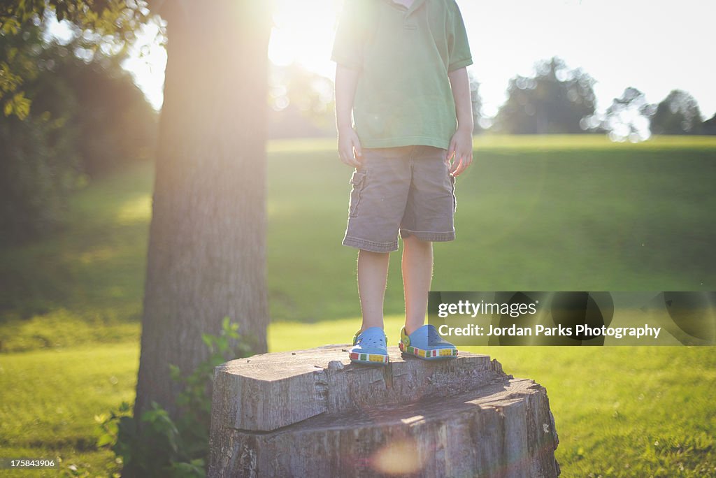 Boy on tree stump