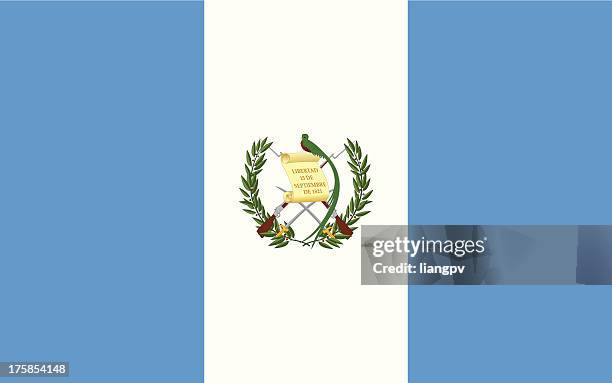 flag of guatemala - guatemala stock illustrations