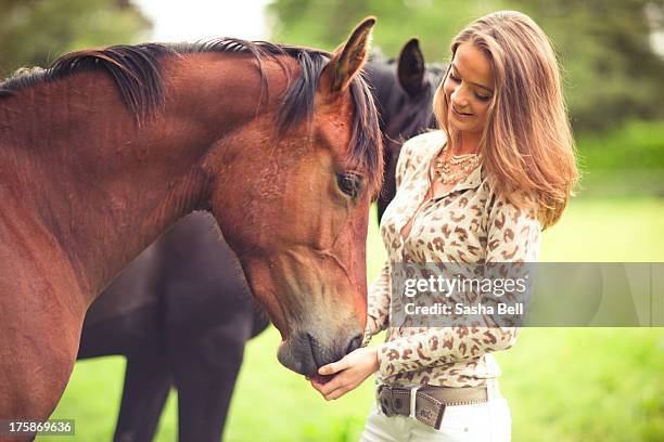 girl and bay horse - bay horse 個照片及圖片檔