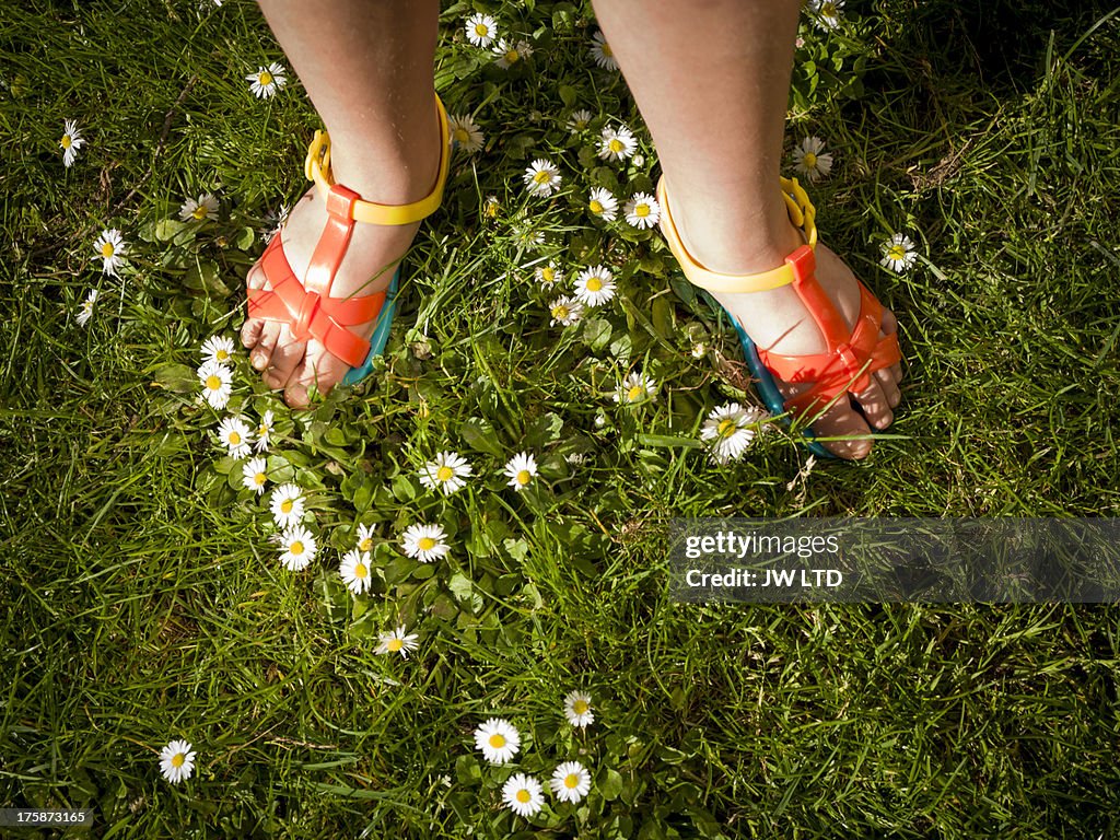 Young girl wearing sandals, summer daisies