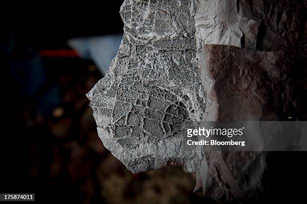 Lines mark a rock containing iron at a Century Iron Mines Corp. Mapping and prospecting site near Schefferville, Quebec, Canada, on Tuesday, Aug. 6,...