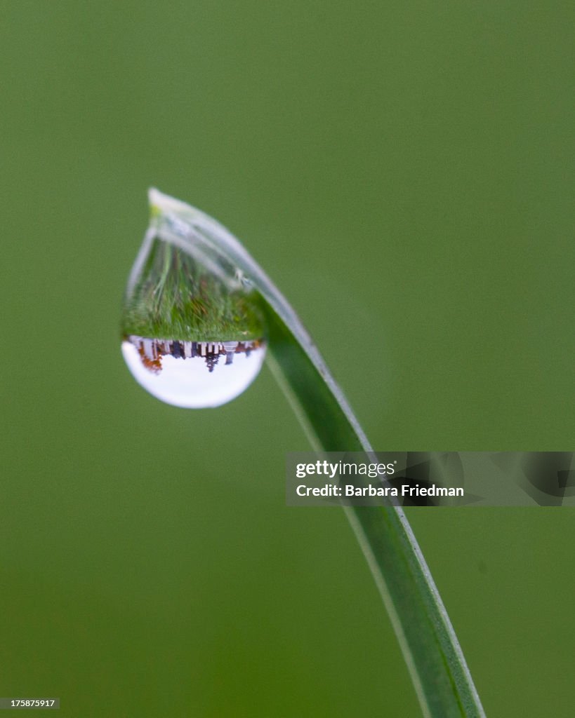 Cemetery Dew