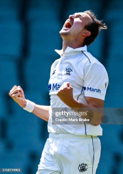 Joel Paris of Western Australia celebrates the wicket of Jake Lehmann captain of the Redbacks during the Sheffield Shield match between South...