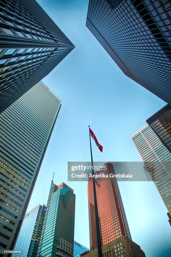A view of Toronto financial district
