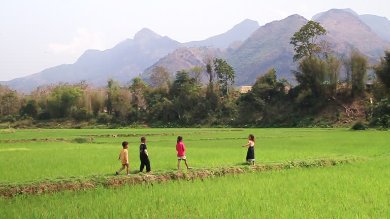 Children Walking Single File Videos and HD Footage - Getty Images