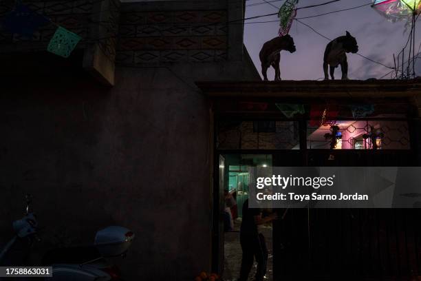 Boy enters his home in the Mixquic neighborhood during 'Day of the Dead' celebrations on November 1, 2023 in Mexico City, Mexico. The Day of the Dead...