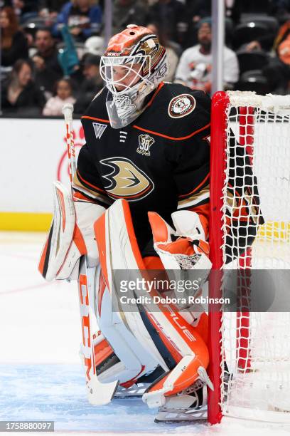 Lukas Dostal of the Anaheim Ducks protects the goal during the second period against the Arizona Coyotes at Honda Center on November 1, 2023 in...