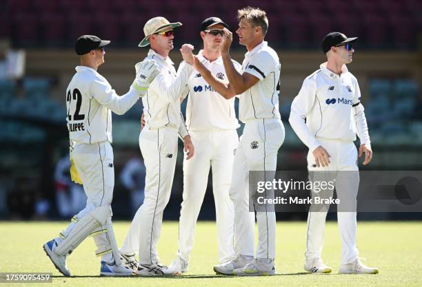 Cameron Gannon of Western Australia celebrates the wicket of Harry Nielsen of the Redbacks with team mates during the Sheffield Shield match between...