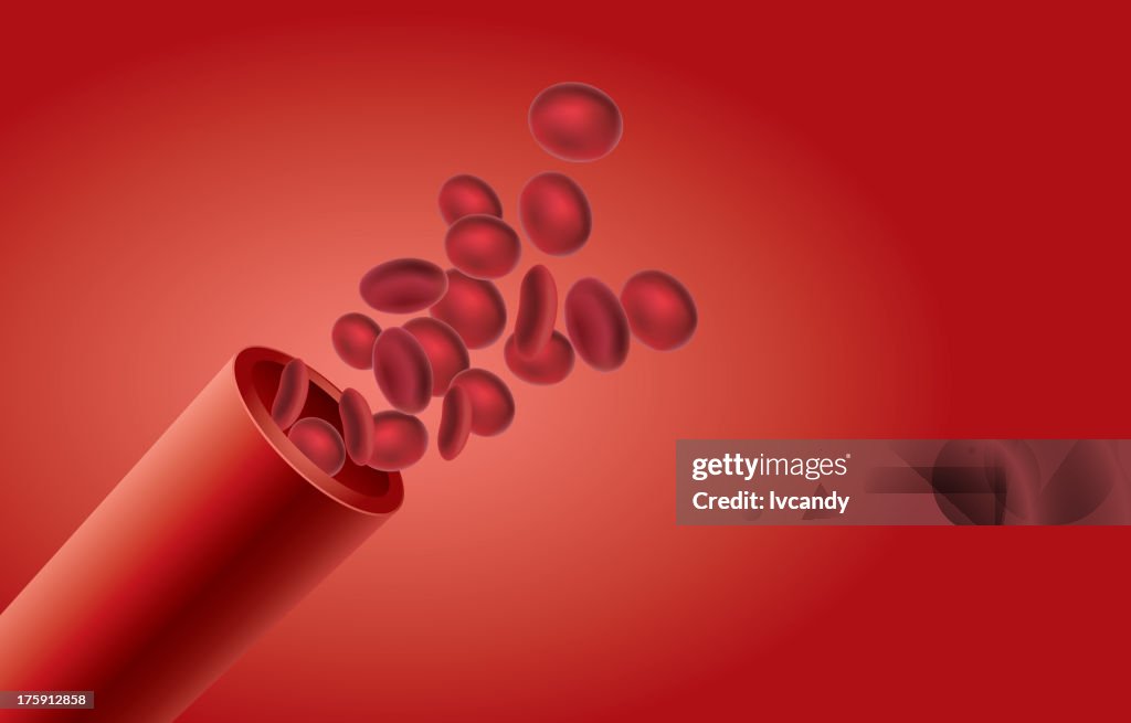 Blood Vessel