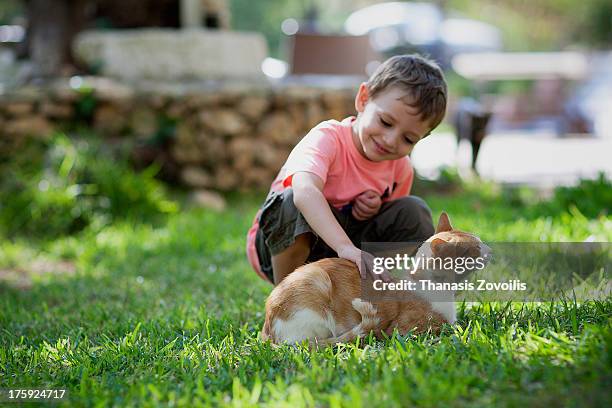 portrait of a small boy - crouching cat stock-fotos und bilder