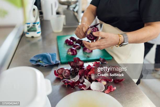 chopping onions - indian-village-kitchen stock pictures, royalty-free photos & images