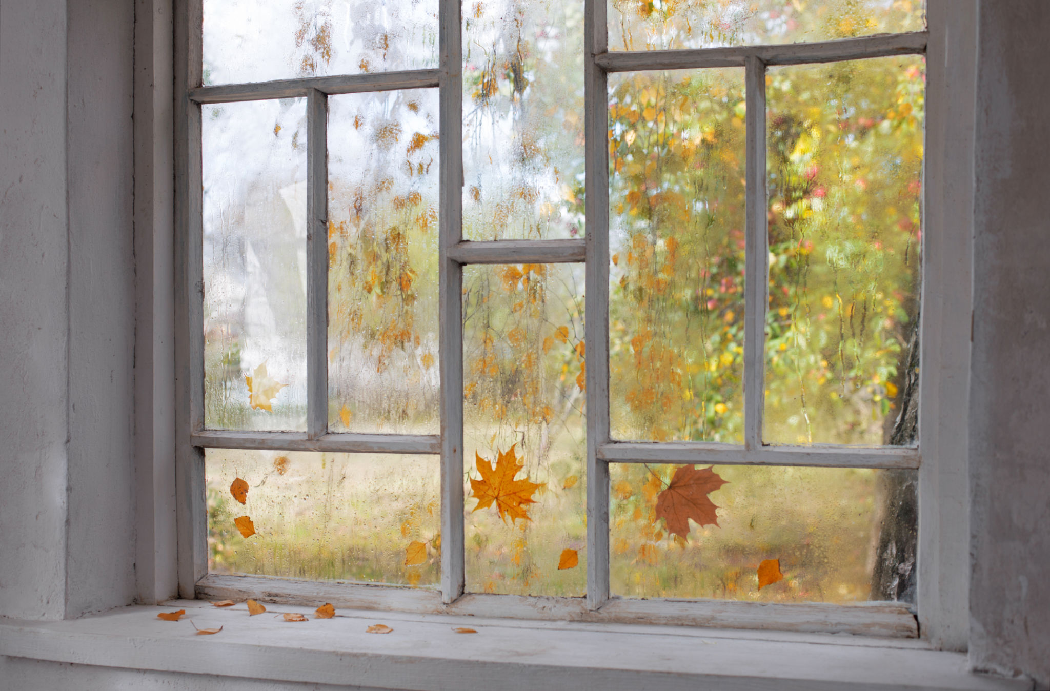 autumn window care