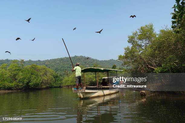 nahaufnahme von touristen, die unter dem vordach eines touristenbootes sitzen, das von einem indischen mann angetrieben wird, der am heck mit holzstange steht, brahmanendrachen (haliastur indus), die in klarem blau fliegen, sonniger himmel, fokus auf den v - kite lagoon stock-fotos und bilder