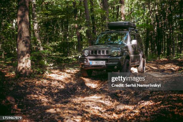 75 Bumpy Car Ride Stock Photos, High-Res Pictures, and Images - Getty ...