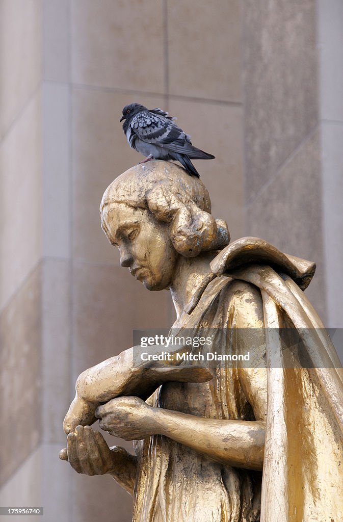 Bird on statue of woman holding bird