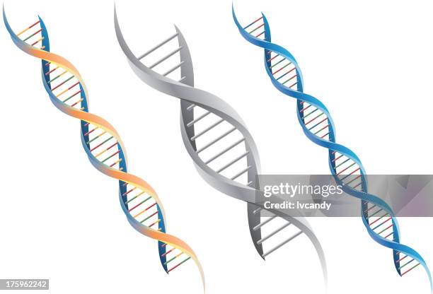 bildbanksillustrationer, clip art samt tecknat material och ikoner med dna molecule - dna