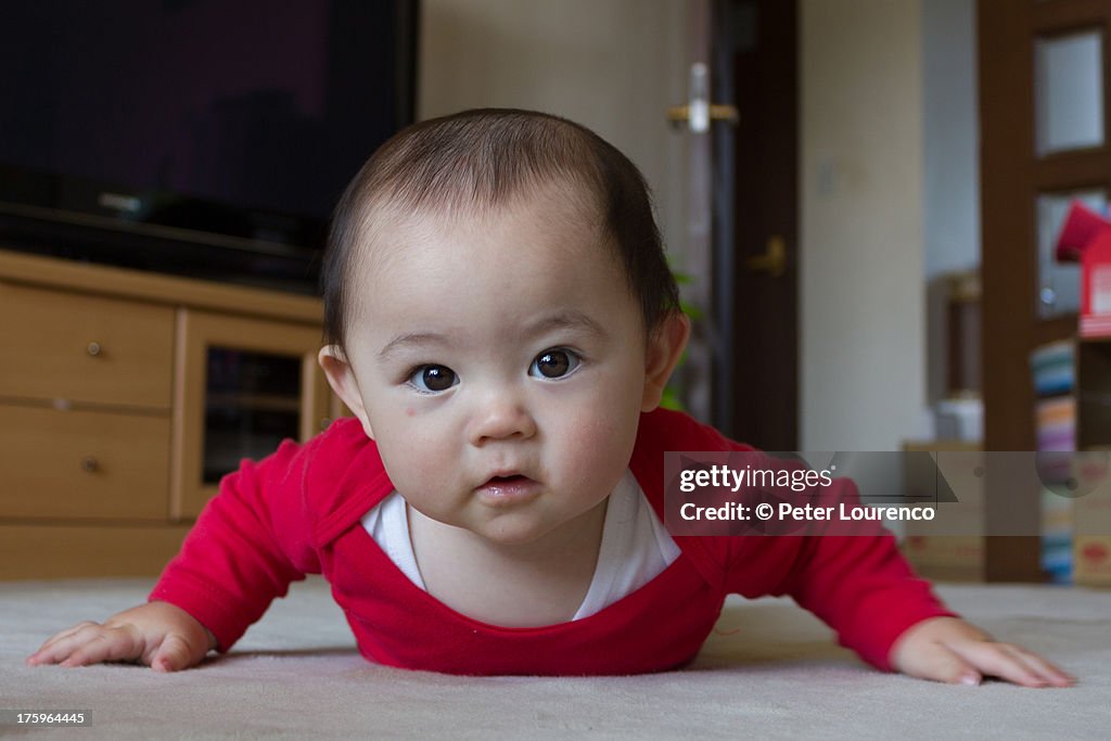 Learning to crawl