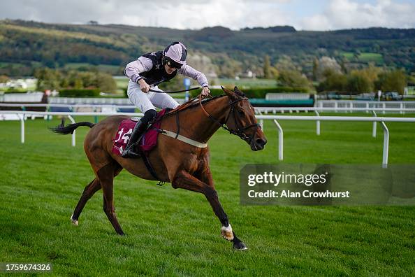 Cheltenham Races Cheltenham Races