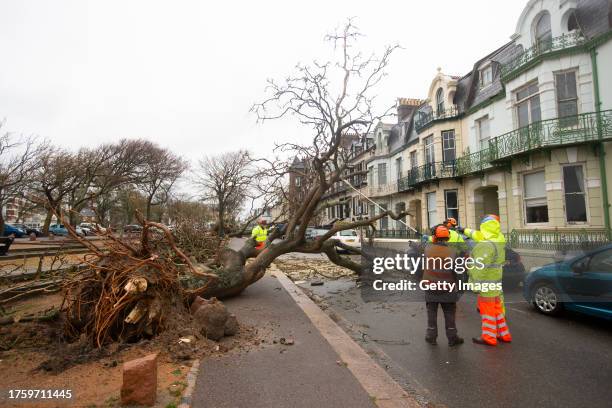 Trees are uprooted after winds reaching 100 mph tore through the island in the early hours of the morning on November 2, 2023 in St Helier, Jersey....