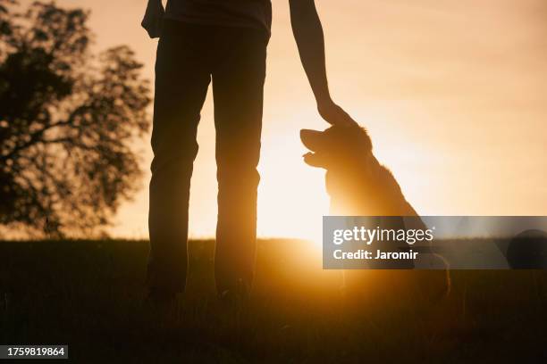 silhouette man and dog on meadow at sunset - lealdade imagens e fotografias de stock