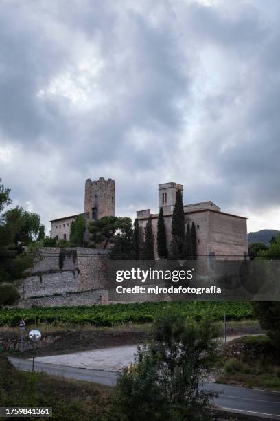 view of a castle on a cloudy and rainy day - mjrodafotografia stock pictures, royalty-free photos & images