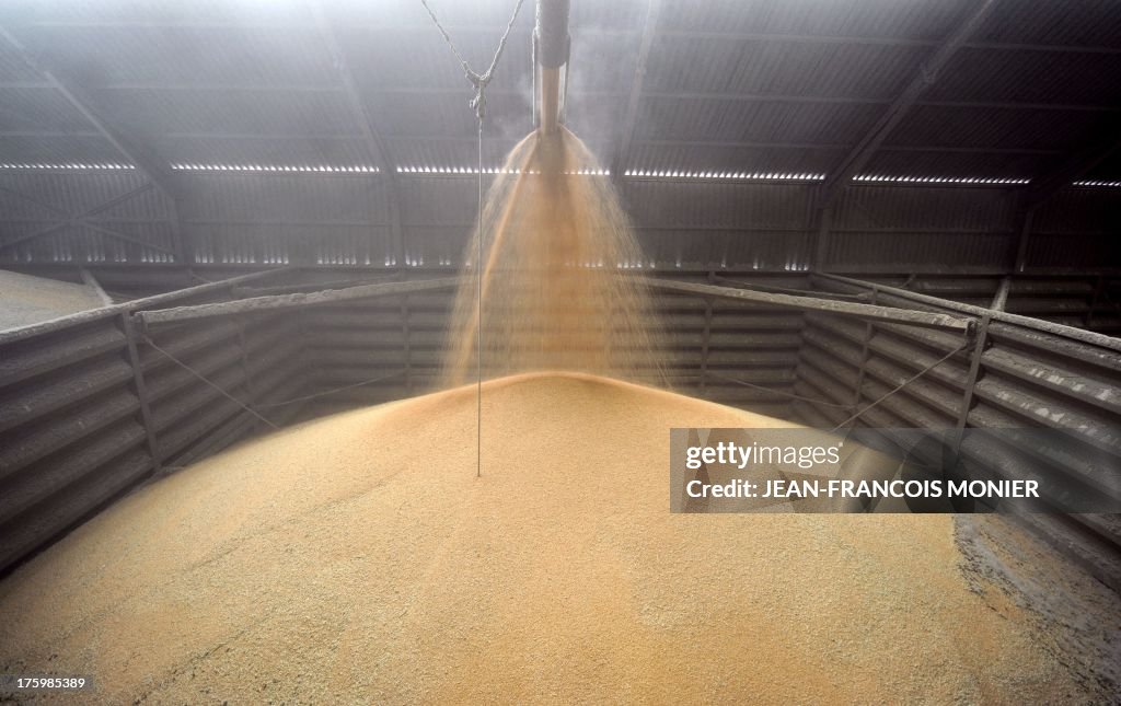 FRANCE-AGRICULTURE-HARVEST-WHEAT