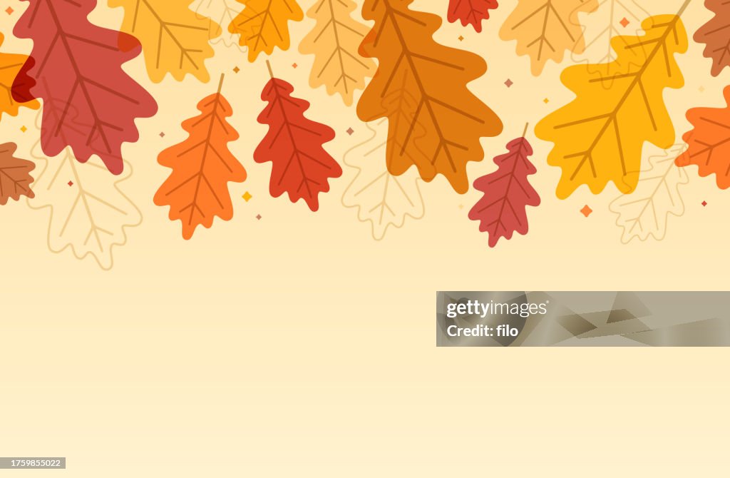 Autumn Oak Leaf Fall Background